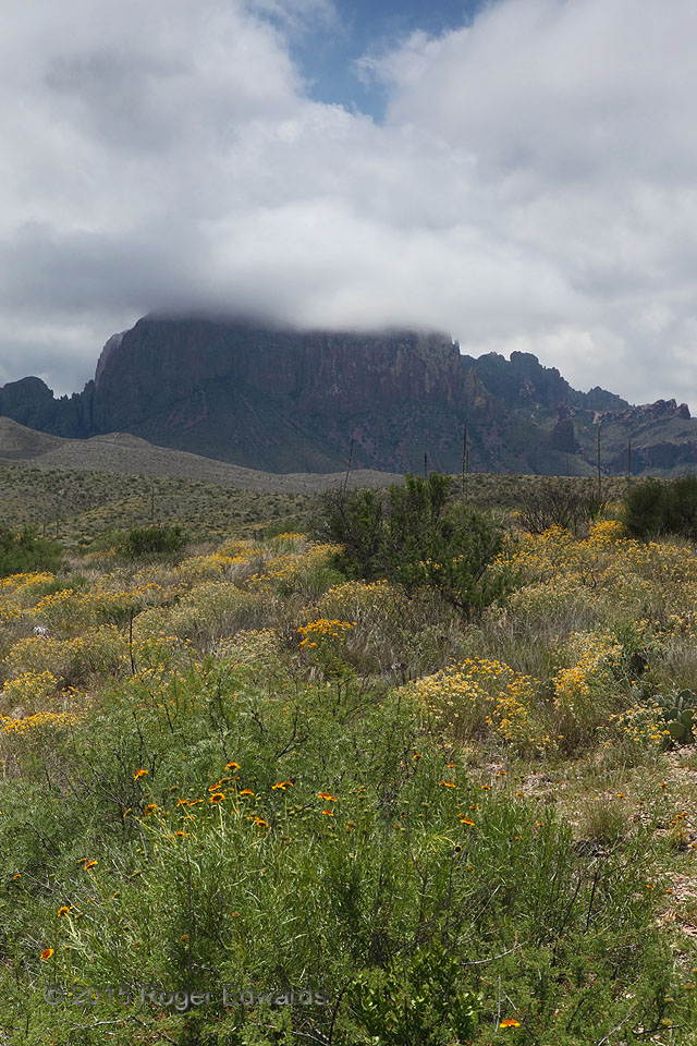 Chisos Mountains Stratocumulus