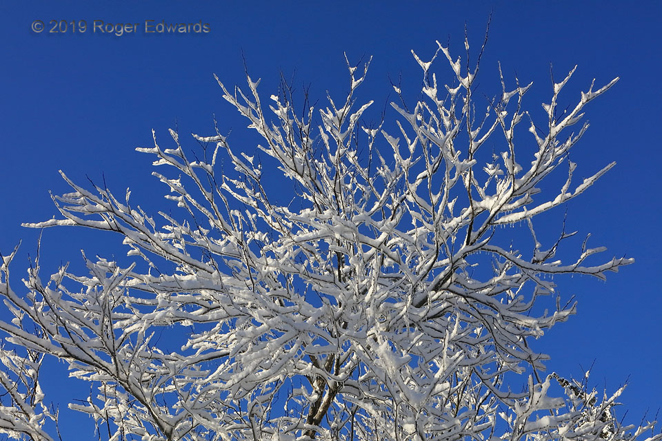 Blue Sky, Sticky Snow