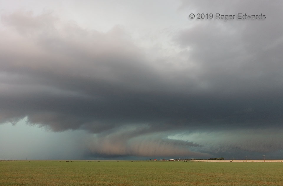 "Armadillo Tail" Cloud