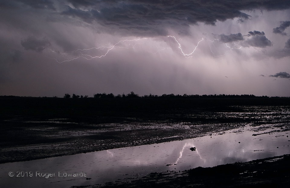 Crawler Lightning Reflected in Farmland Flood