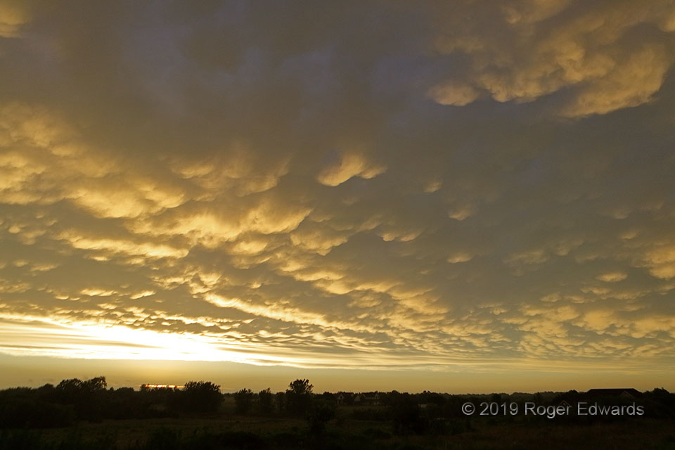 Sunset Personality 3: Golden Mammatus