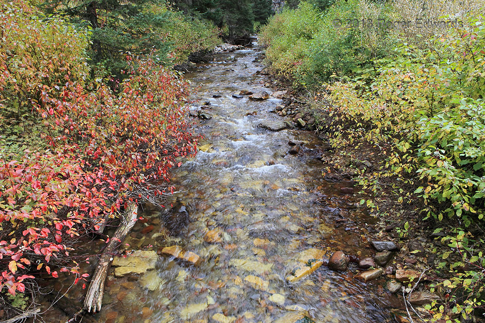 Autumn Along Swift Creek (WY)
