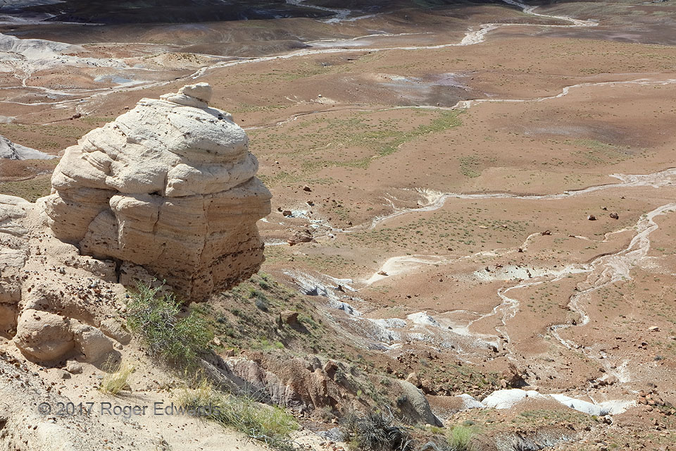 Works of Wind and Water (Petrified Forest NP)