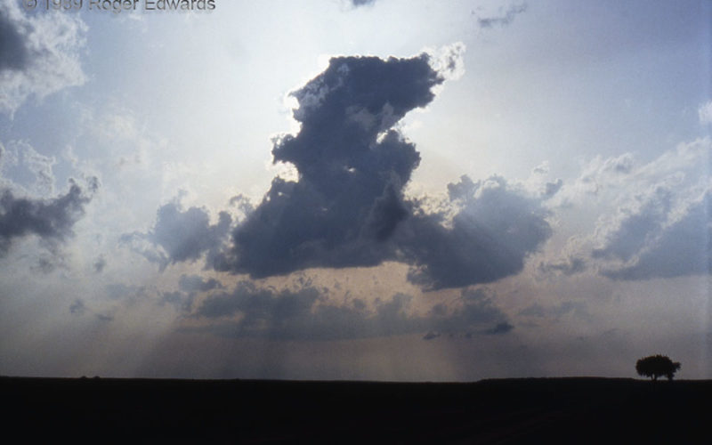 Towering Cumulus on the Dryline