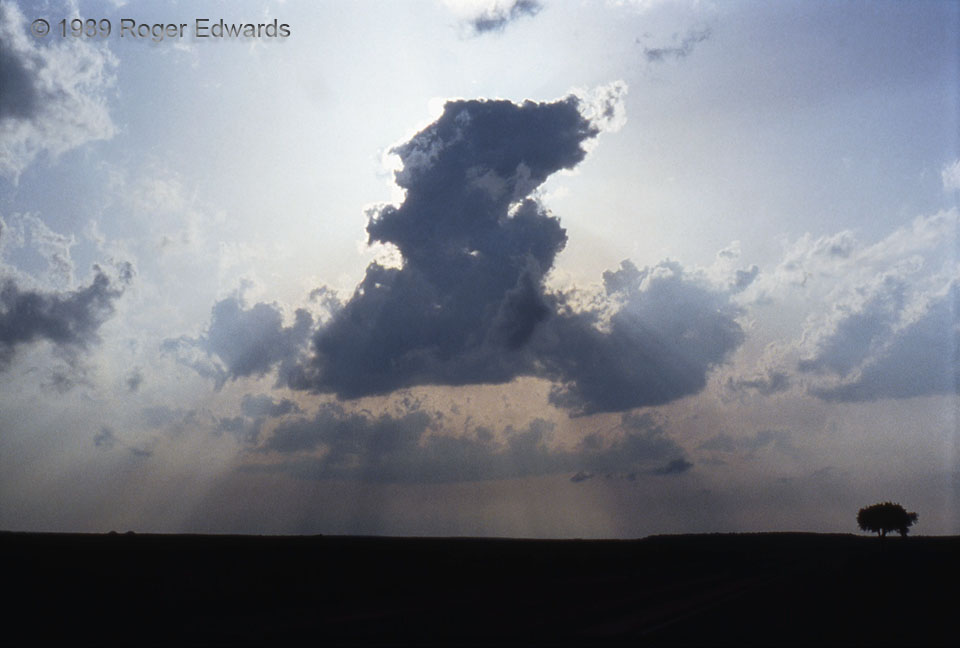 Towering Cumulus on the Dryline