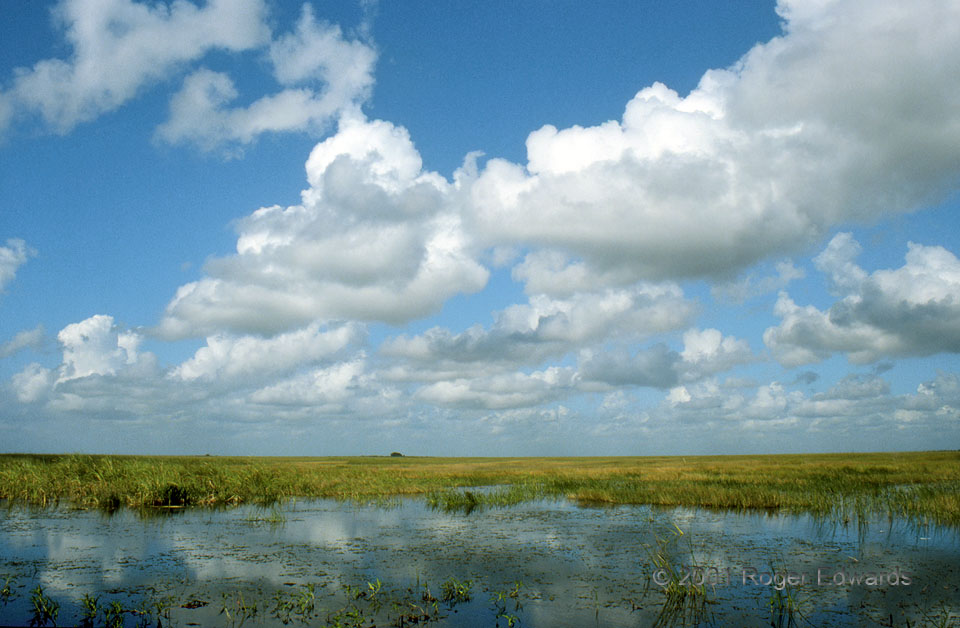 Cumulus Humilis, Everglades