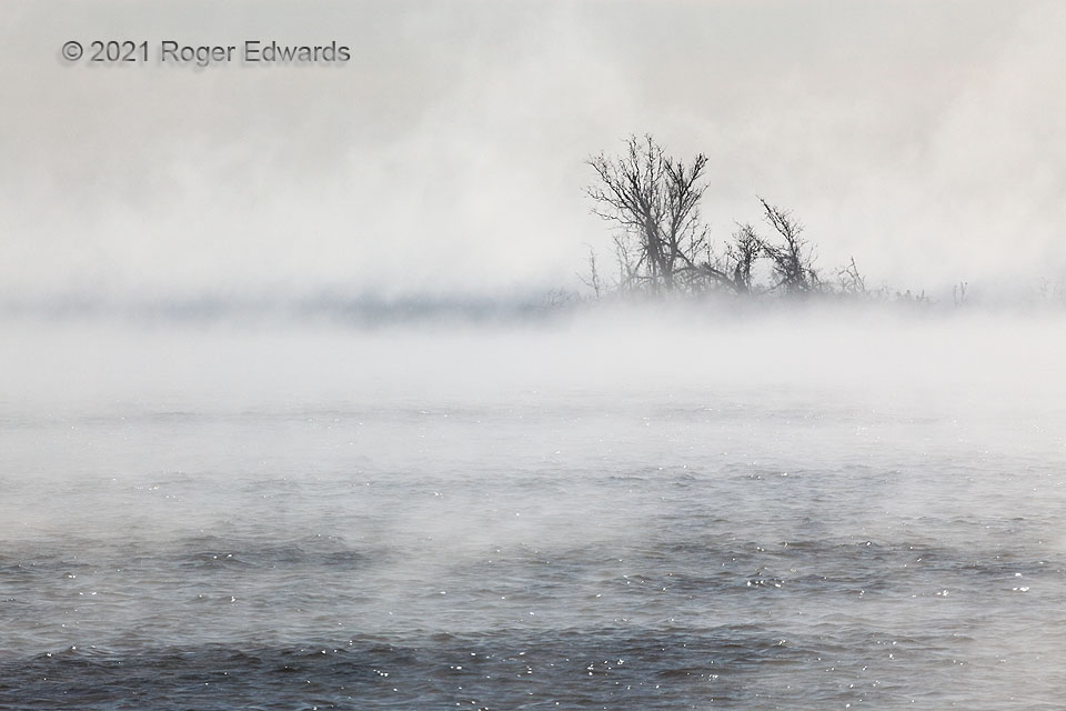 Rising through Cold Lake Fog