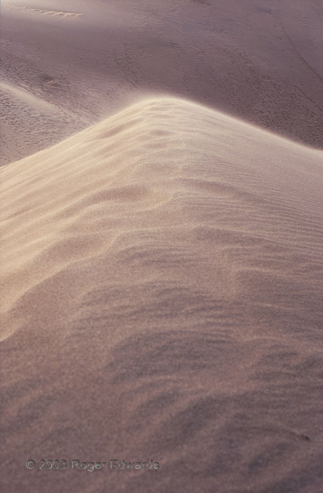 Blown Dune Top