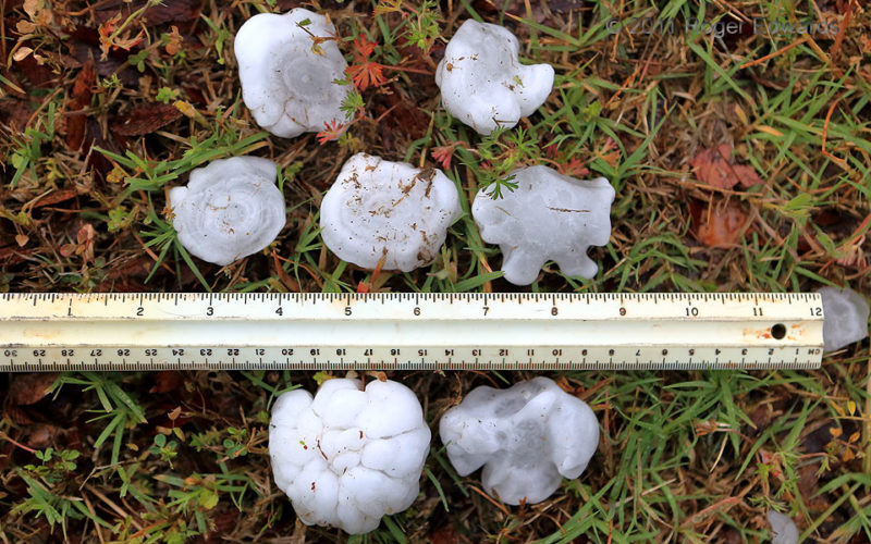 Knobby Severe Hailstones