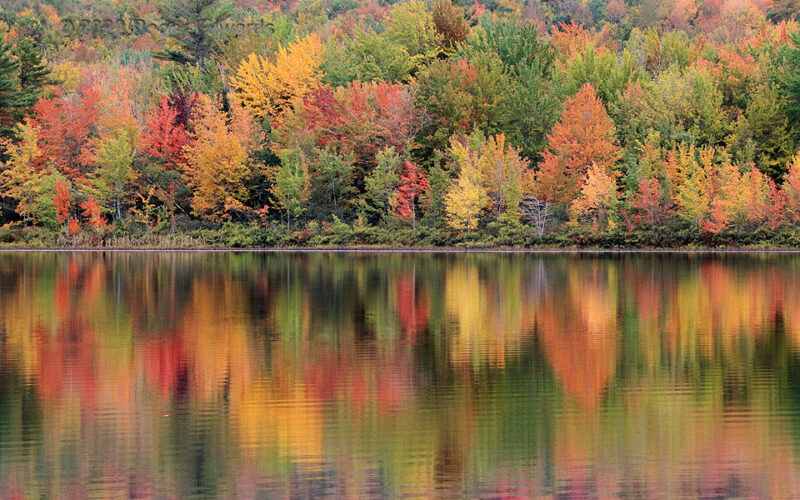 On Pleasant Pond