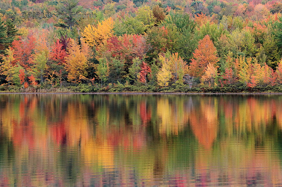 On Pleasant Pond