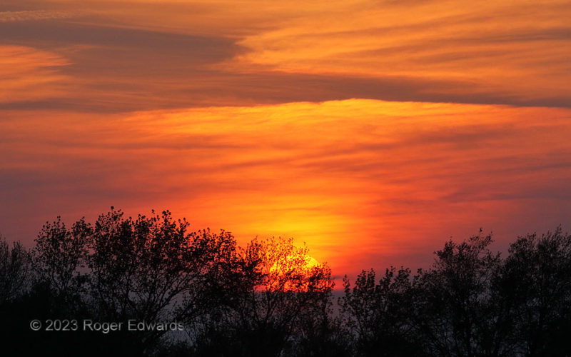 East Texas Sundown