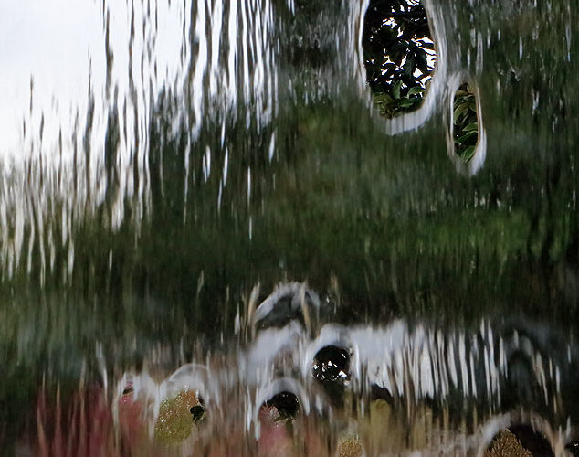 Watery Perspective (Dallas Arboretum)