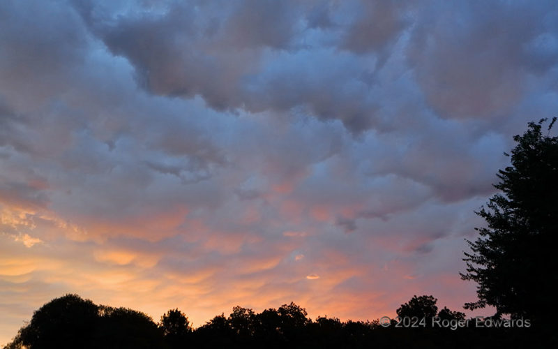 Mammatus Sunrise