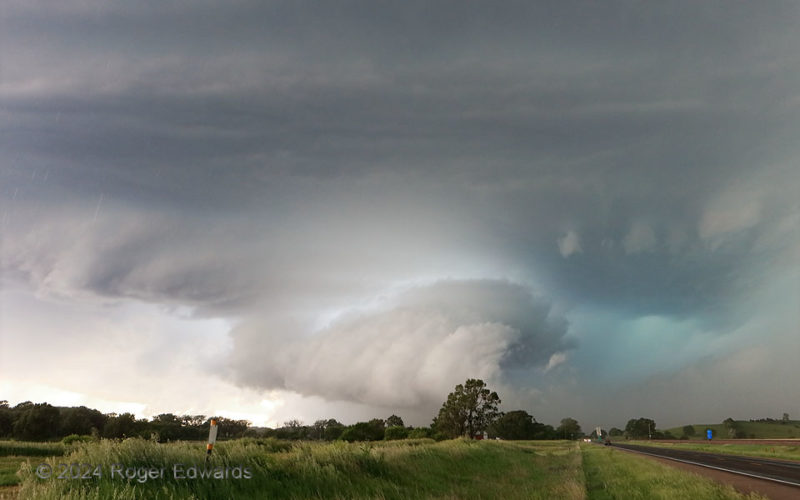 Wild Storm, Wild Light