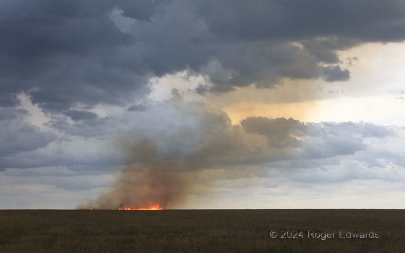 Lightning-Started Grass Fire