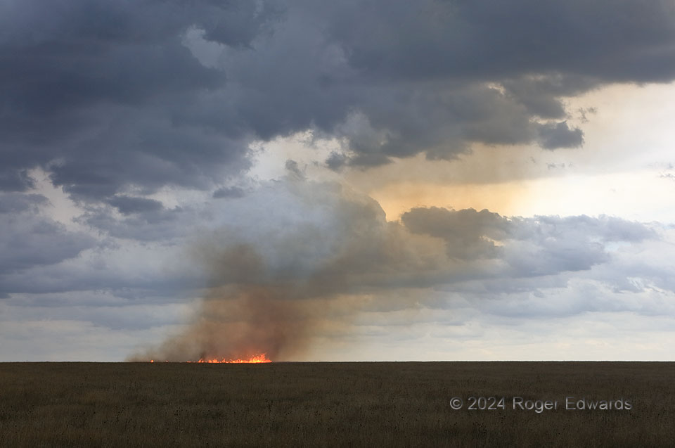 Lightning-Started Grass Fire