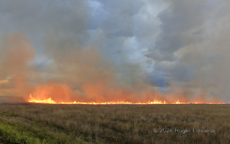 Colorado Prairie Fire