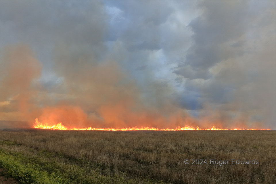 Colorado Prairie Fire