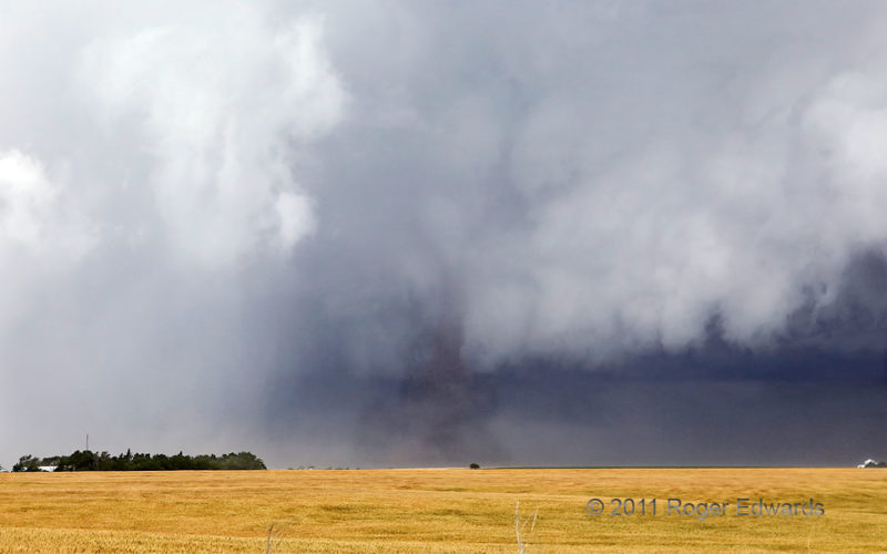 Dusty Forward-Flank Tornado