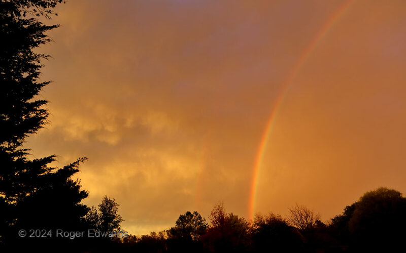 Autumnal Storm Retreat