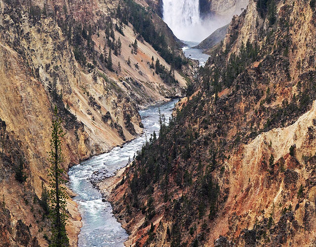 Lower Yellowstone Falls