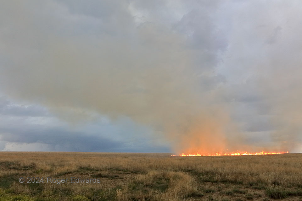 Supercell and Prairie Fire