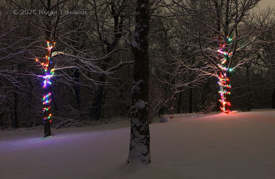 Snowy Night Light