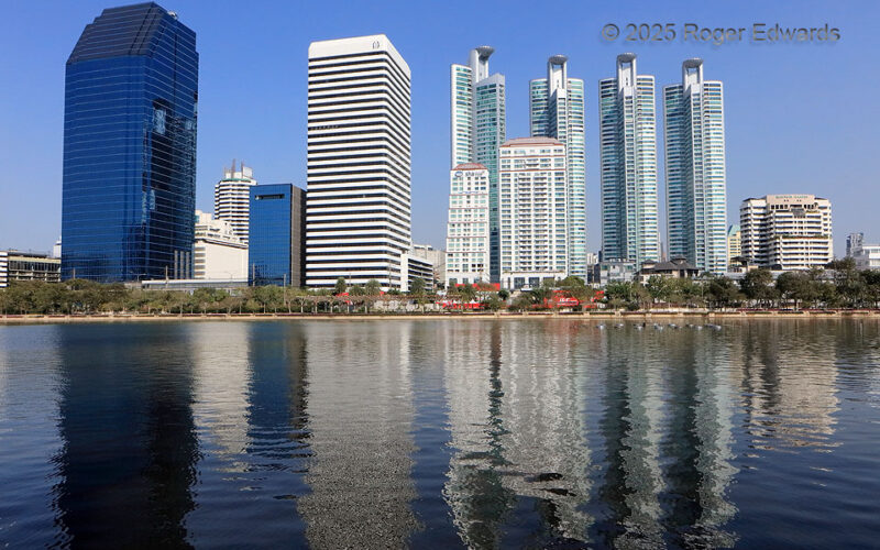 Benchakitti Reflective