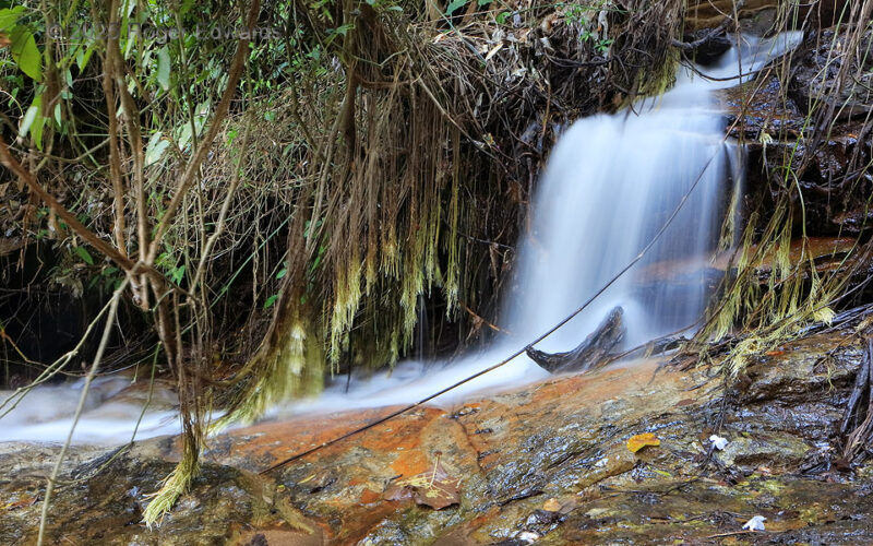 Thai Jungle Waterfall