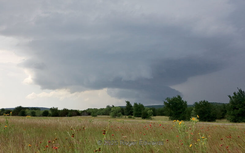 Texas Supercell and Wildflowers
