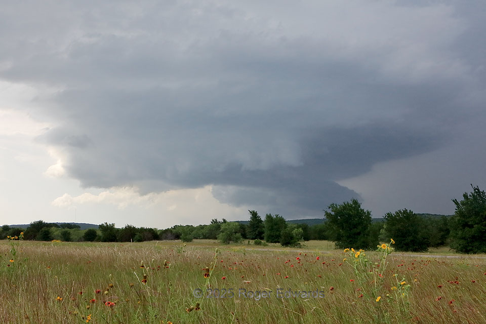 Texas Supercell and Wildflowers