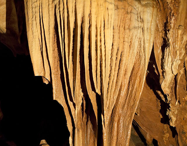 Tropical Cave Dripstone