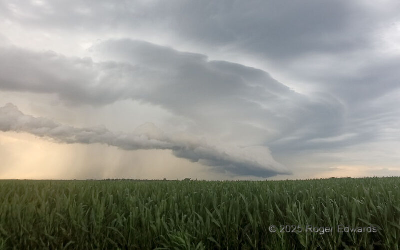 Tiered Arcus over Cornfield
