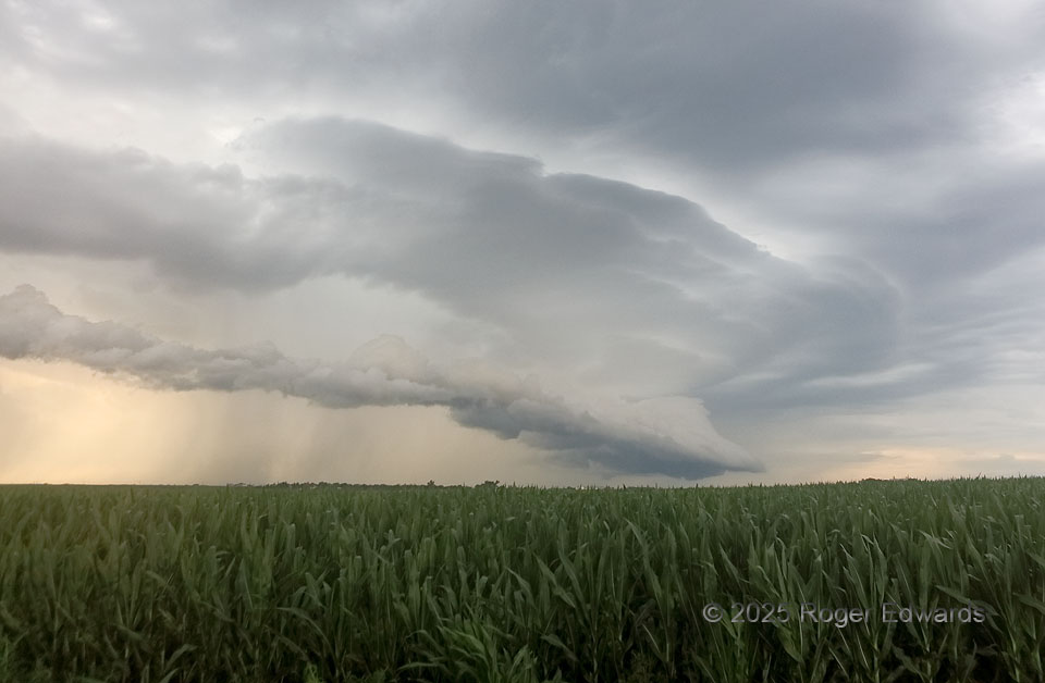 Tiered Arcus over Cornfield