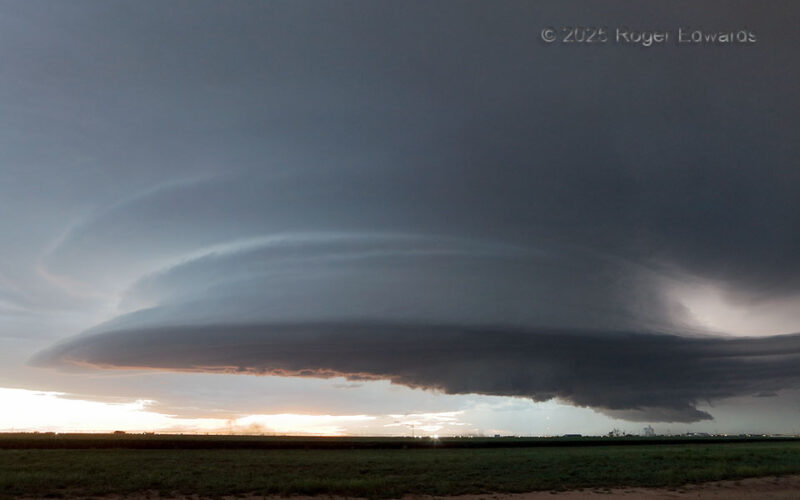 Another Hereford Mothership