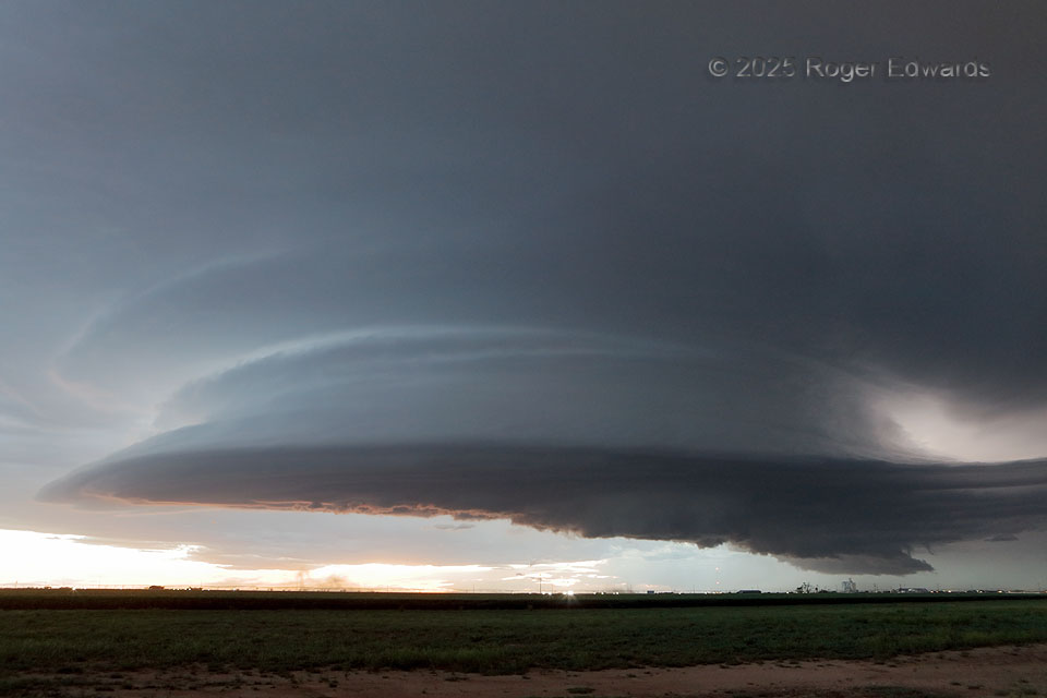 Another Hereford Mothership