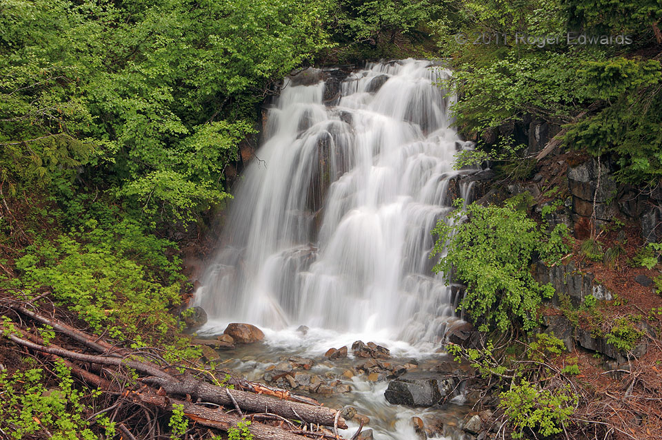Temporary Falls, Mt. Rainier