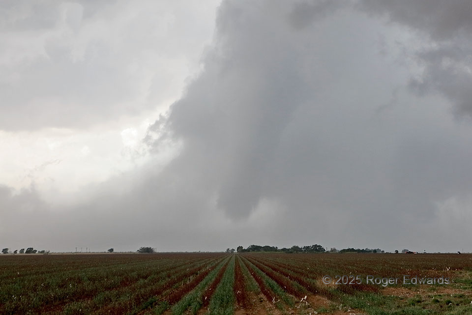 Emergence from Uncertainty