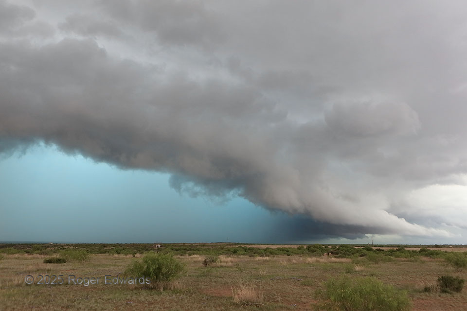 Thunderous Turquoise