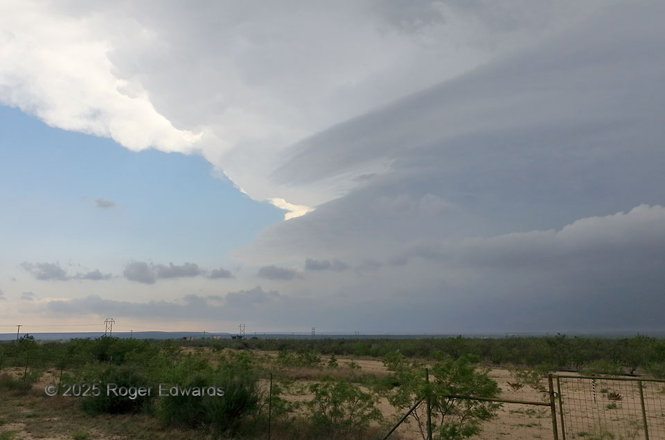 Promise Risin' over the Horizon