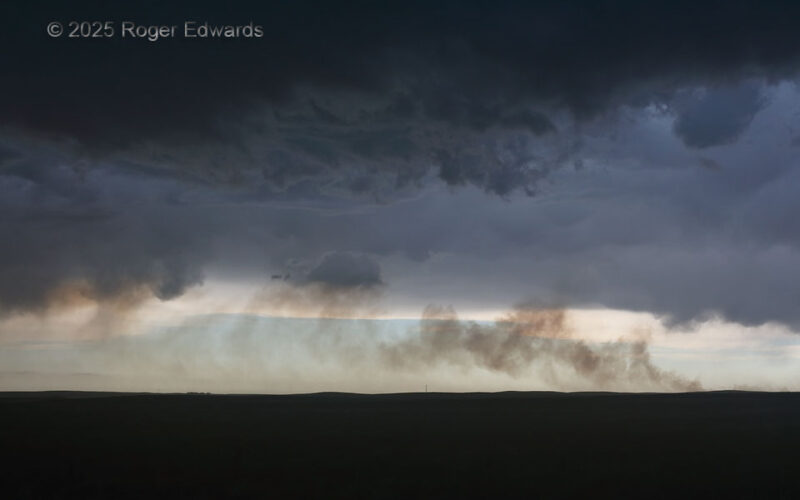 Prairie Smoke into the Storm