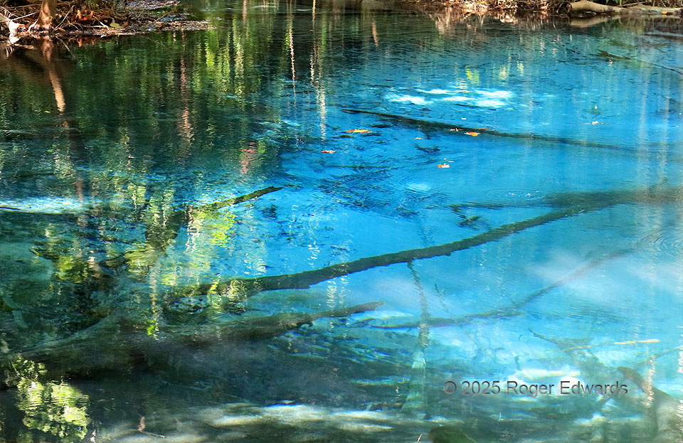 Limpid Blue Pool