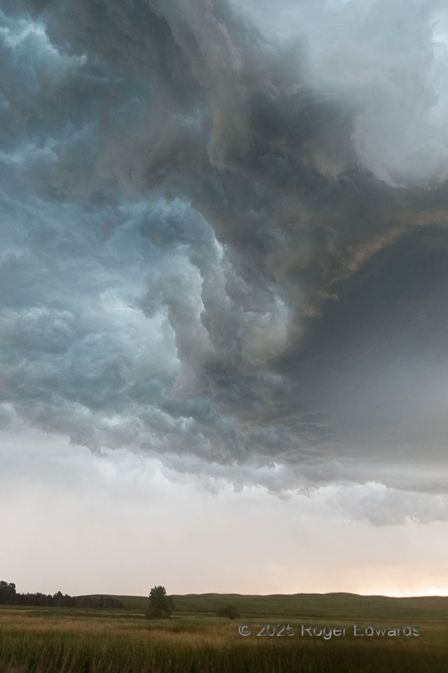 Elevated Whale’s Mouth