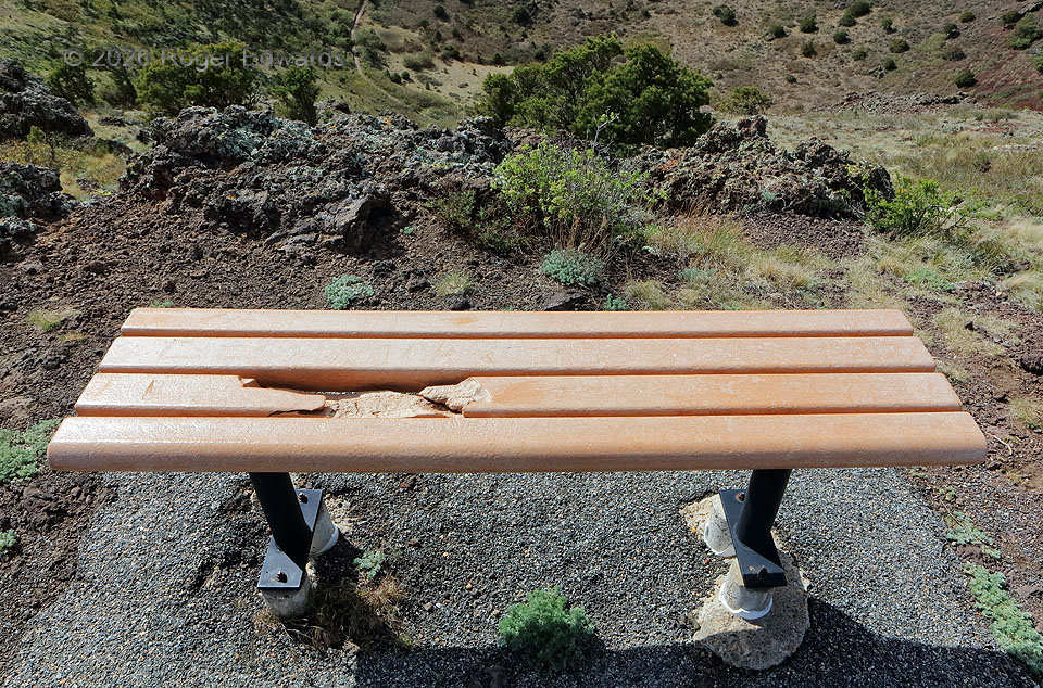 Lightning Damage to Plastic-Lumber Bench