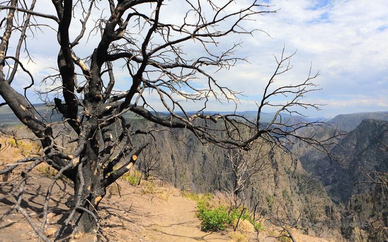 Burn Scar, Black Canyon